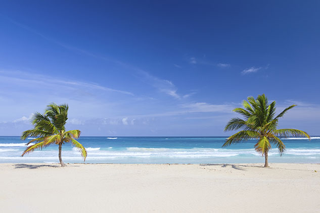 Two palm trees on the tropical beach, Dominican Republic