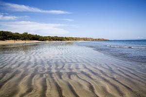 Tamarindo National Wildlife Reserve