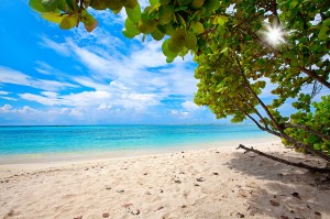 Baby beach