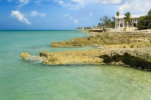 Rocky Shore