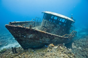 Wreck of the Mr. Bud