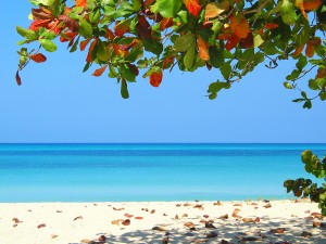 Negrils beach
